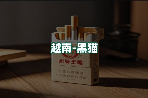越南黑猫